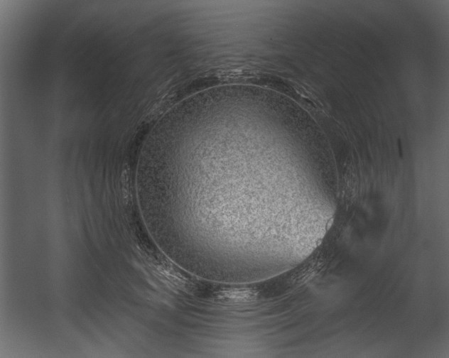 X0000054420659200508011359