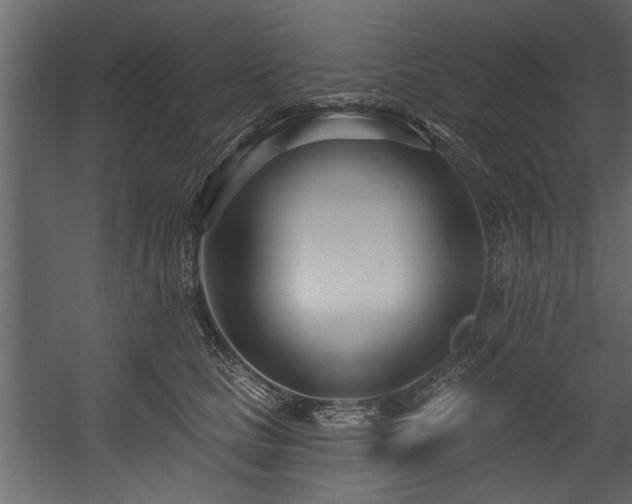 X0000054420661200508011359