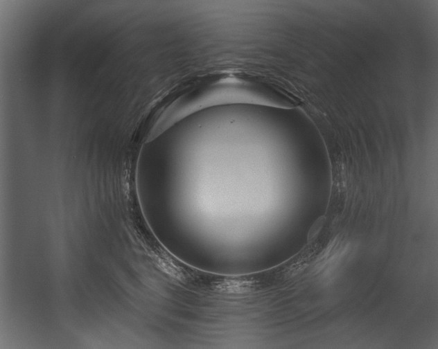 X0000054420664200508011359