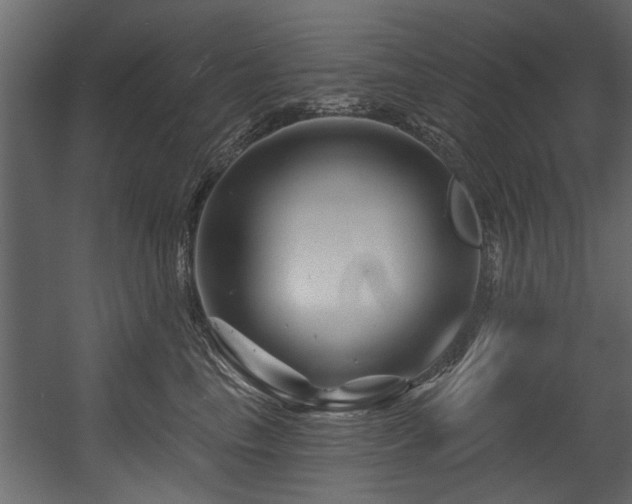 X0000054420665200508011359