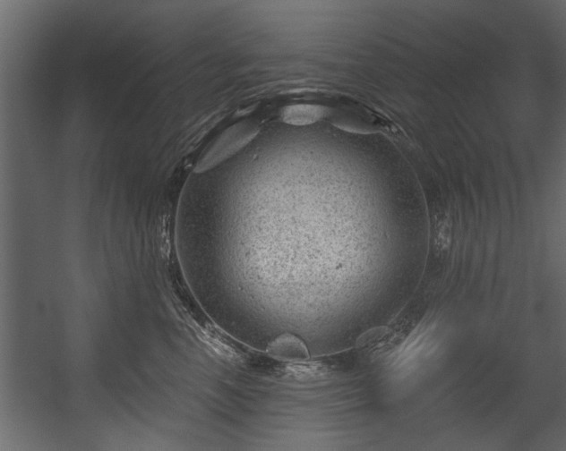 X0000054420666200508011359