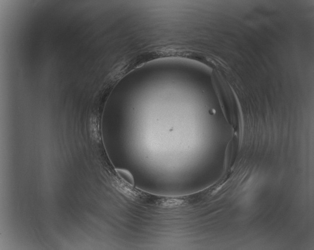 X0000054420669200508011359