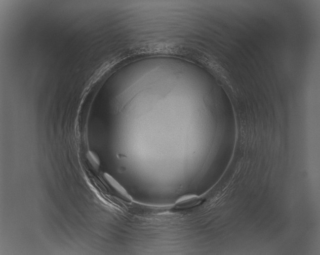 X0000054420674200508011358