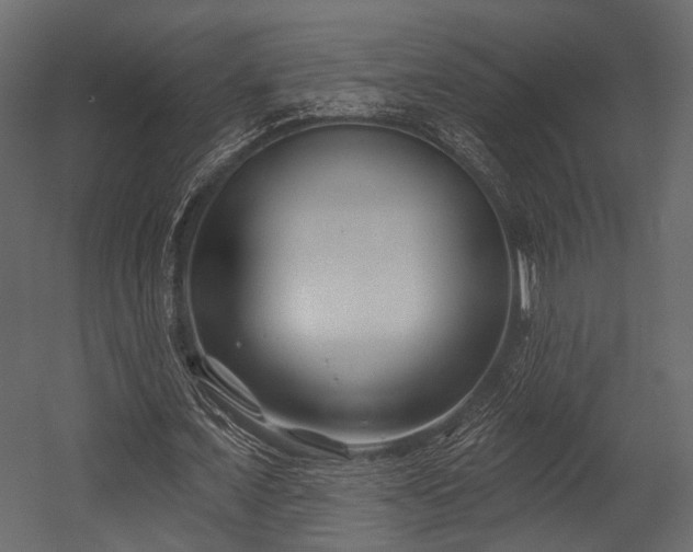 X0000054420675200508011358