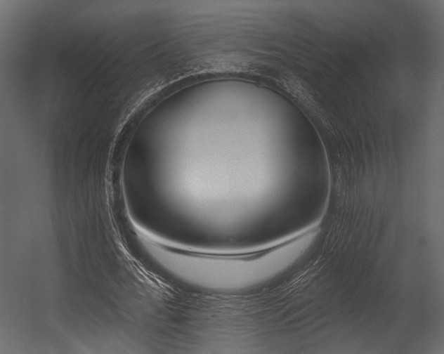 X0000054420676200508011358