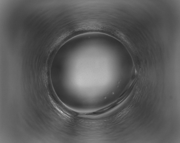 X0000054420677200508011358