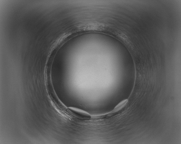 X0000054420678200508011358