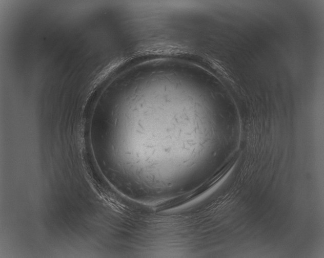 X0000054420679200508011358