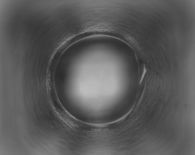 X0000054420680200508011358