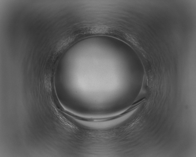 X0000054420681200508011358