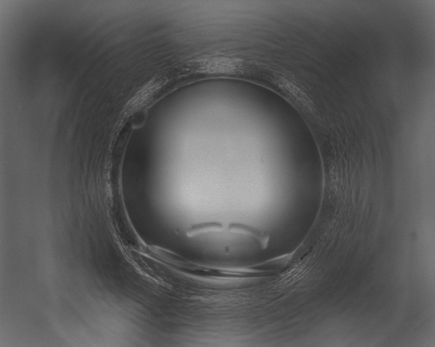 X0000054420682200508011358