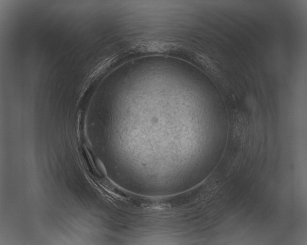 X0000054420683200508011358