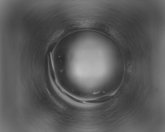 X0000054420685200508011358