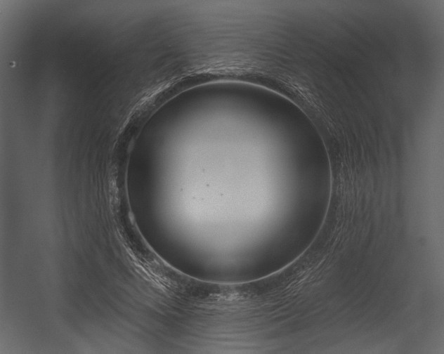 X0000054420688200508011358