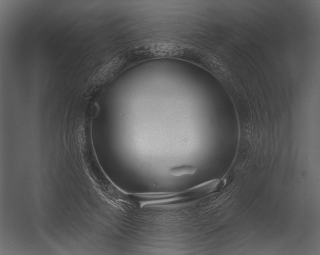 X0000054420690200508011358