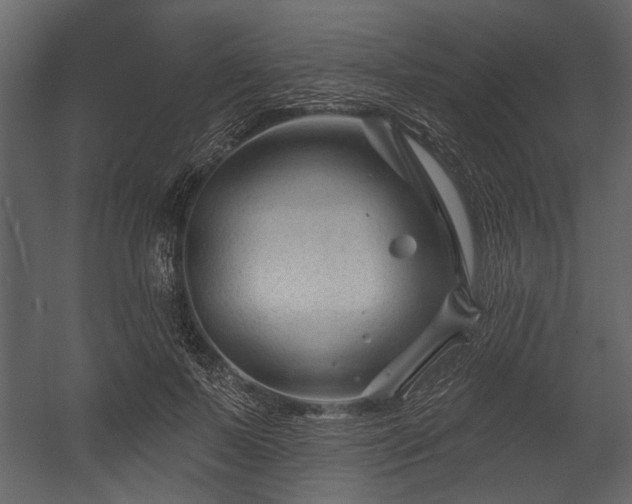 X0000054420695200508011358