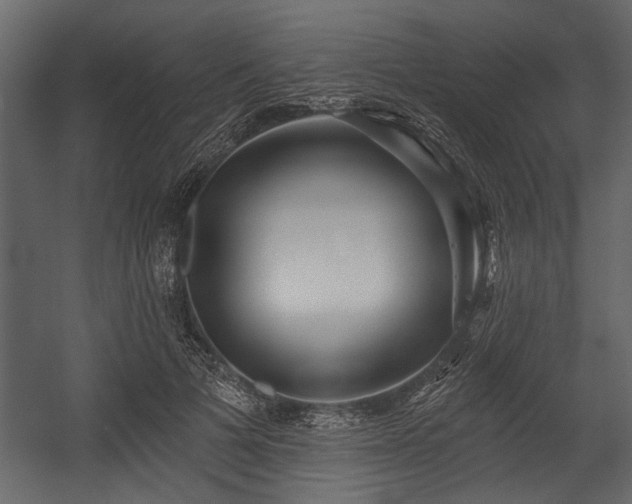 X0000054420697200508011358