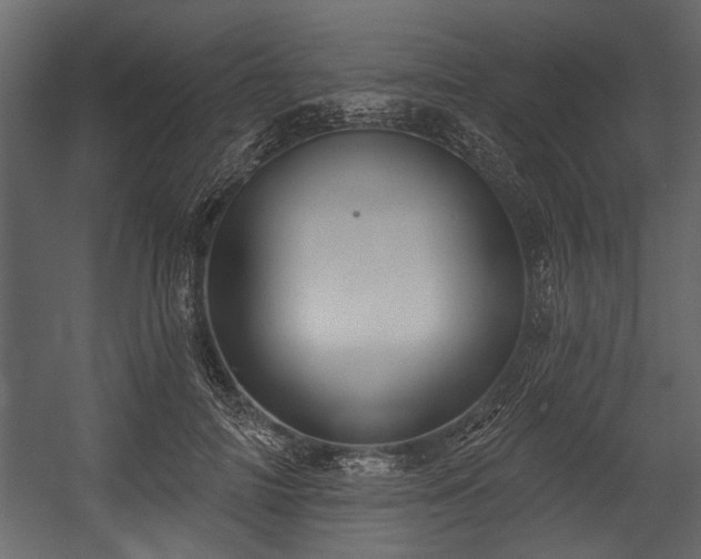 X0000054420698200508011358