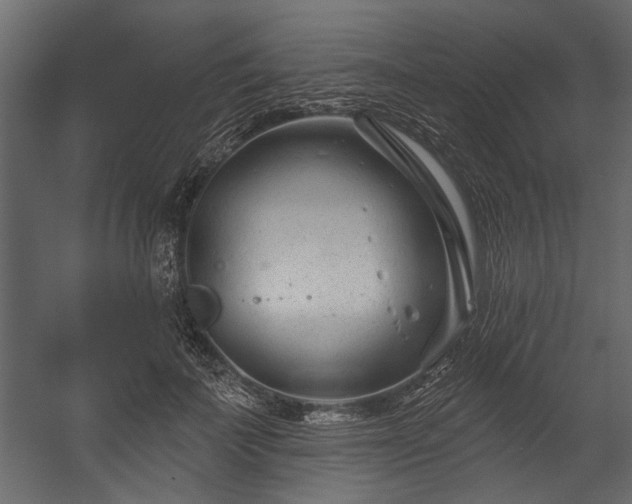 X0000054420699200508011358