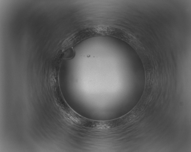 X0000054420702200508011358