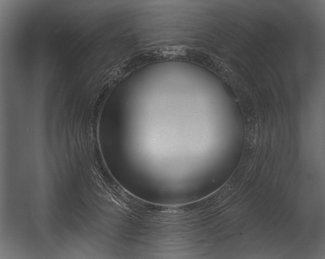 X0000054420704200508011358