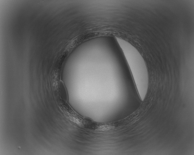 X0000054420708200508011357