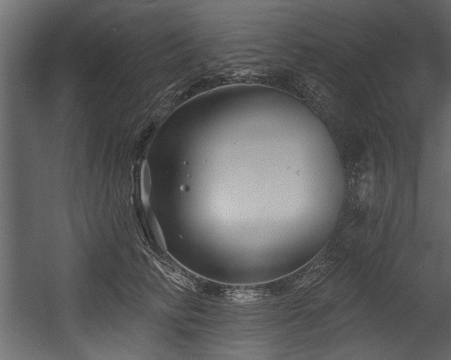 X0000054420710200508011357