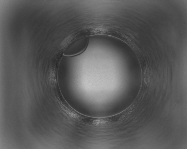 X0000054420714200508011357