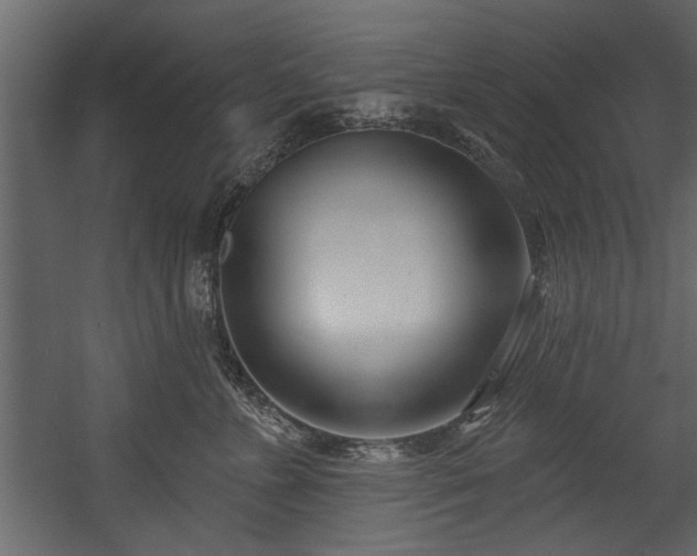 X0000054420715200508011357