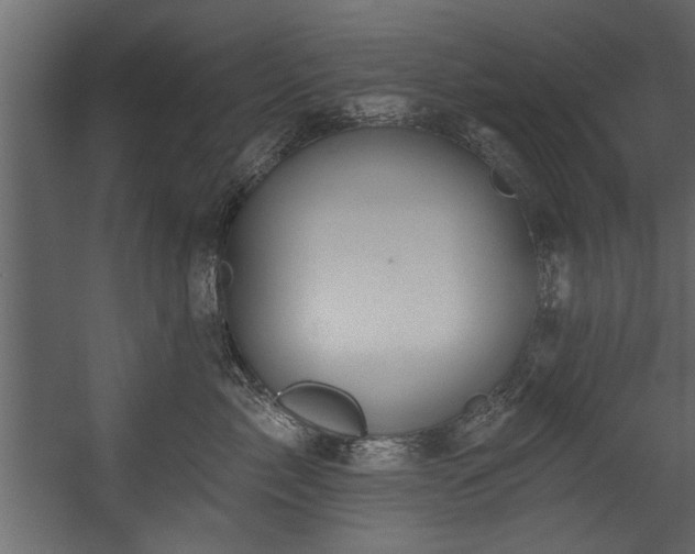 X0000054420717200508011357