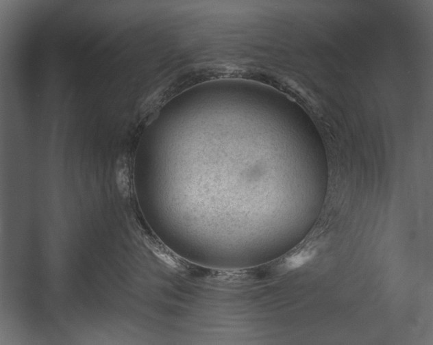 X0000054420720200508011357