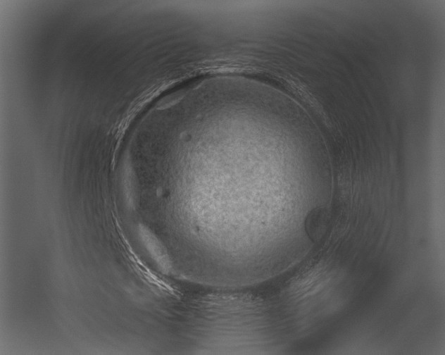 X0000054420721200508011356