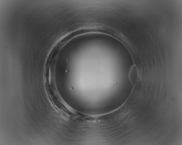 X0000054420724200508011356