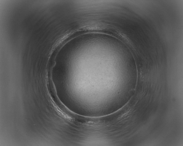 X0000054420725200508011356