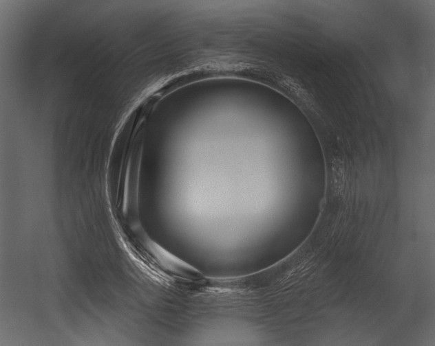 X0000054420726200508011356