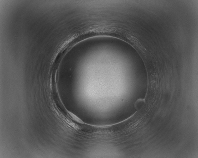 X0000054420727200508011357