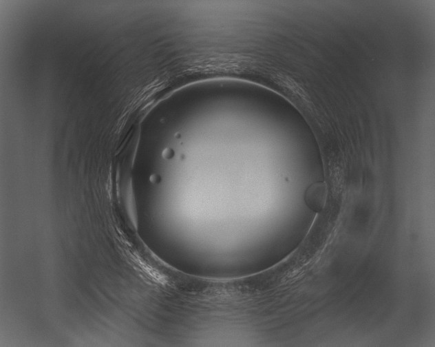 X0000054420729200508011357