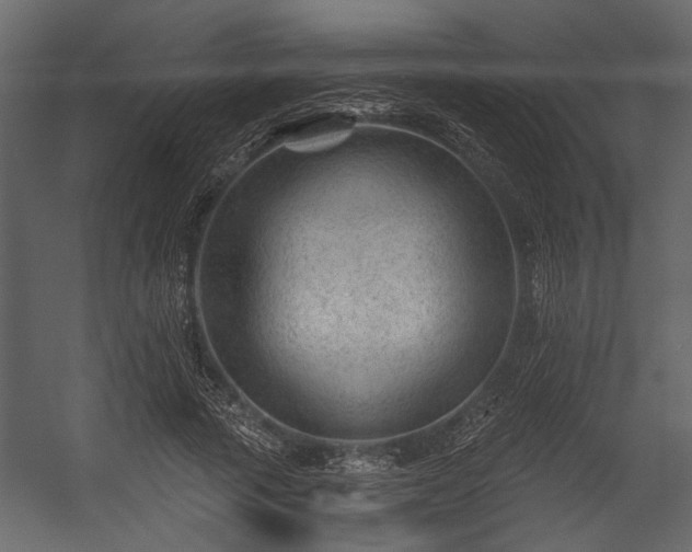 X0000054420737200508011357