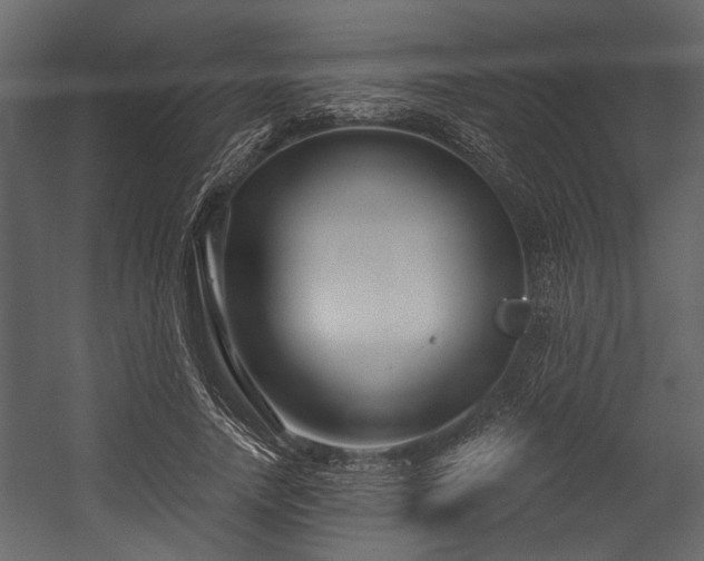 X0000054420738200508011357