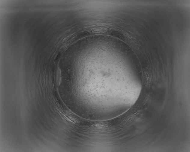 X0000054420745200508011357