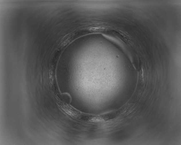 X0000054420749200508011357