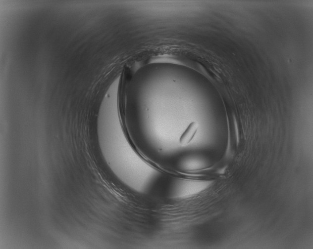 X0000054420750200508011357