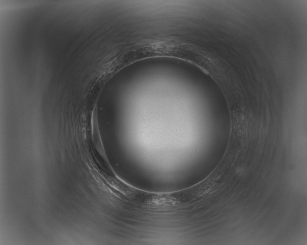 X0000054420752200508011357