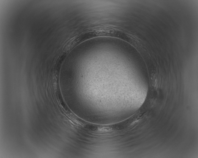 X0000054420753200508011357