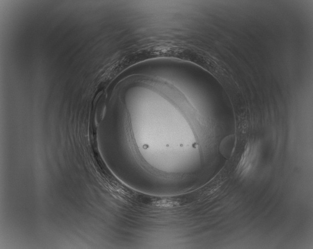 X0000054420754200508011357