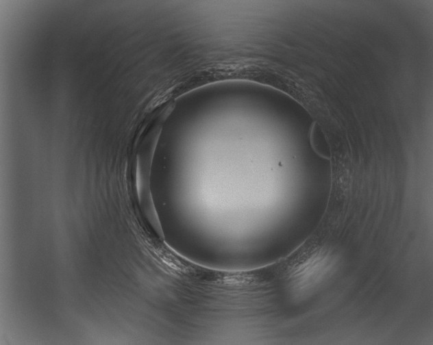 X0000054420758200508011357