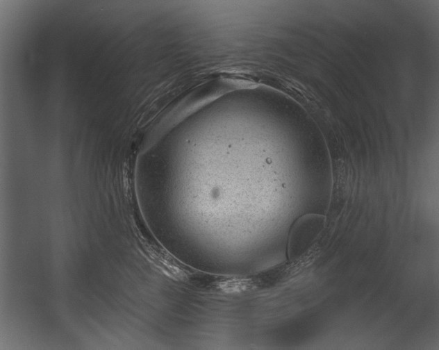 X0000054420761200508011357