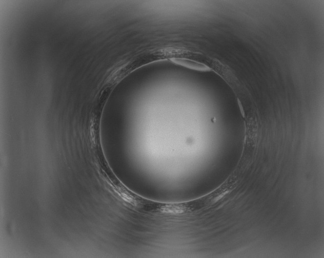 X0000054420762200508011357