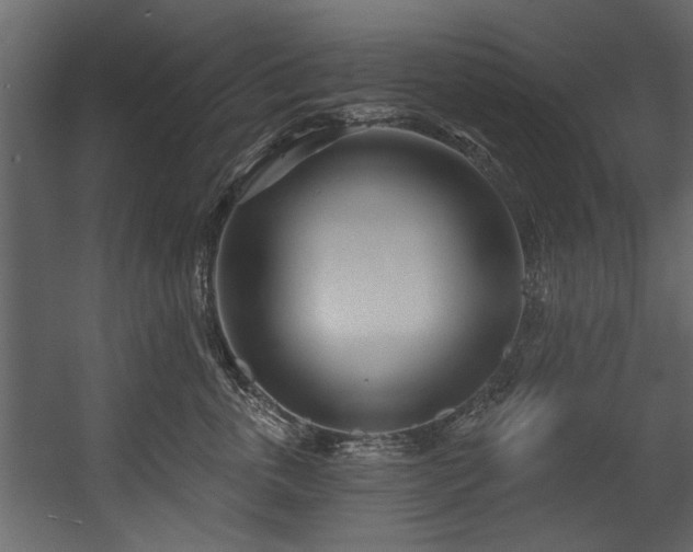 X0000054420763200508011357