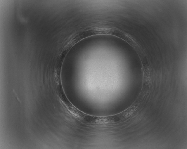 X0000054420764200508011357